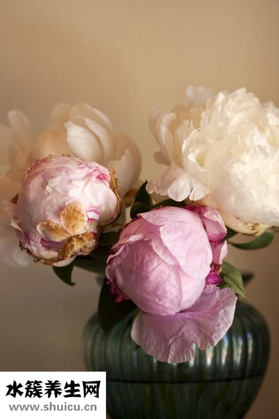 月经来时怎么睡觉