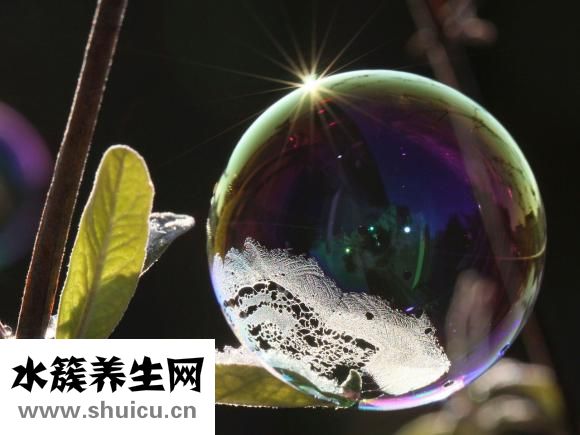 初学者怎么练倒立