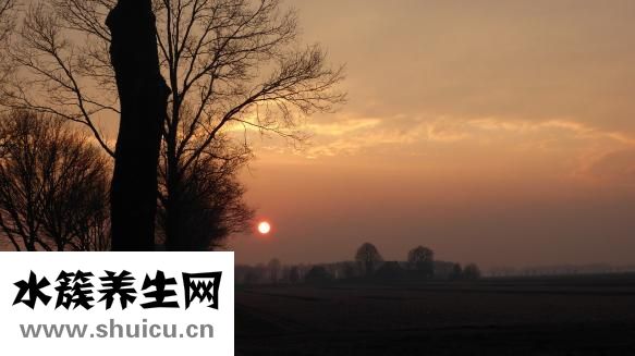 压力怎么缓解
