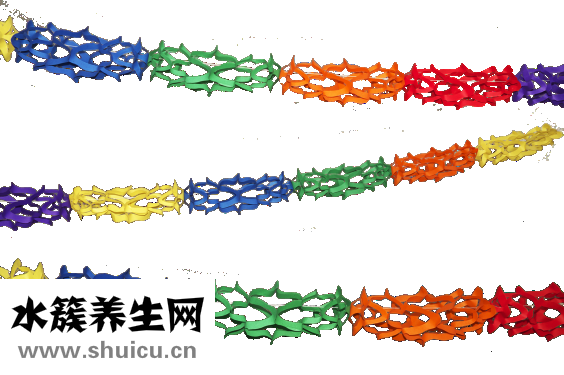 江鲤鱼怎么做好吃