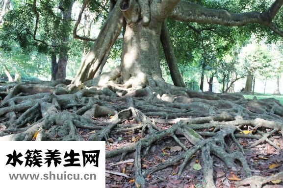 怎么练丹田发声