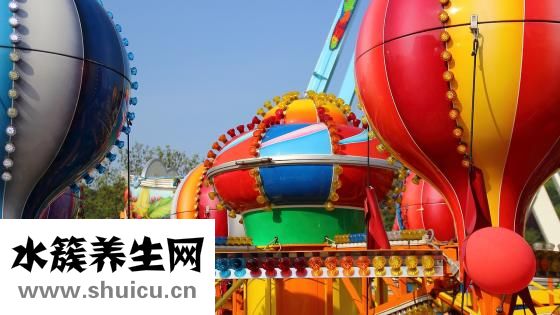小蝎子蜕皮怎么投食
