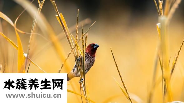 个性性格怎么写