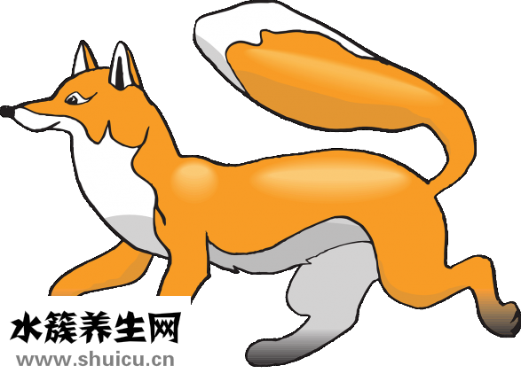 人怎么弄尾巴