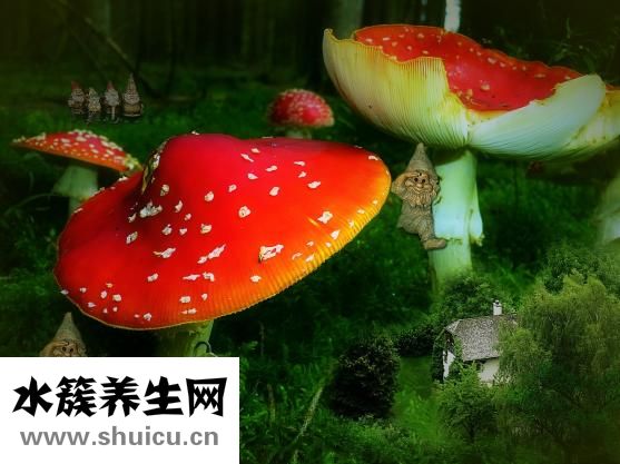 体虚肝火旺怎么调理