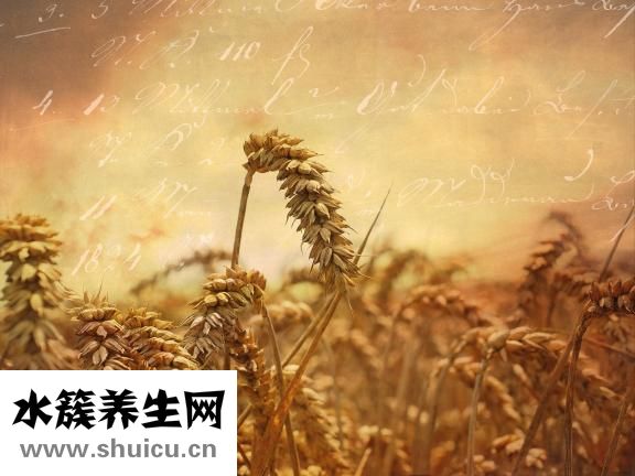 非常人脉加人怎么进