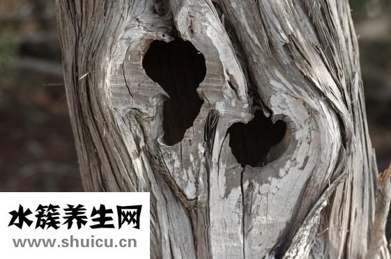 做梦多怎么办