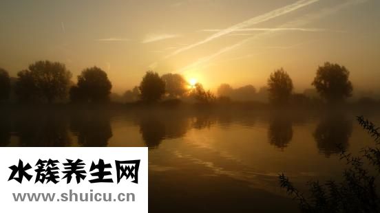 不爱怀孕怎么办