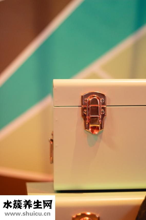 怎么做蜥蜴箱子