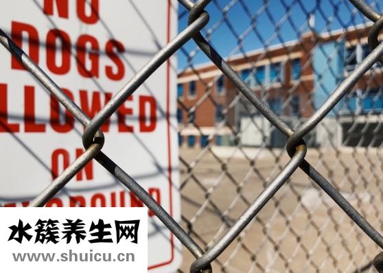 加标回收率怎么做