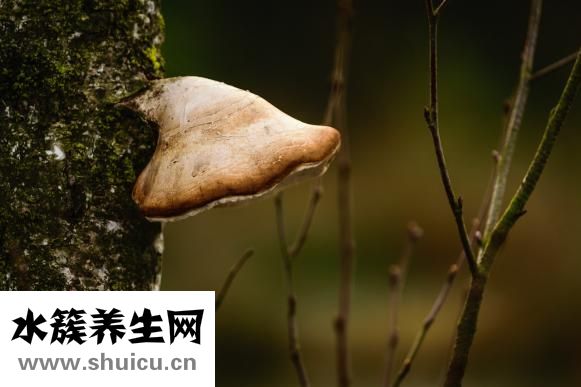 孕妇得脚气怎么回事