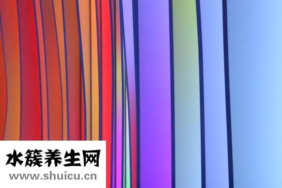 冻鱼怎么做