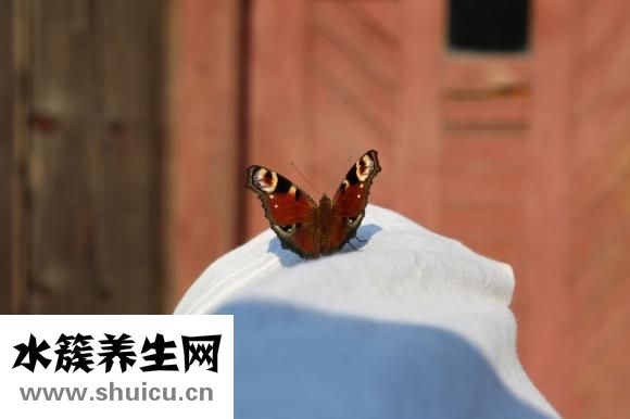 做梦多怎么办