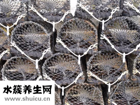 圆顶蚊帐怎么折叠