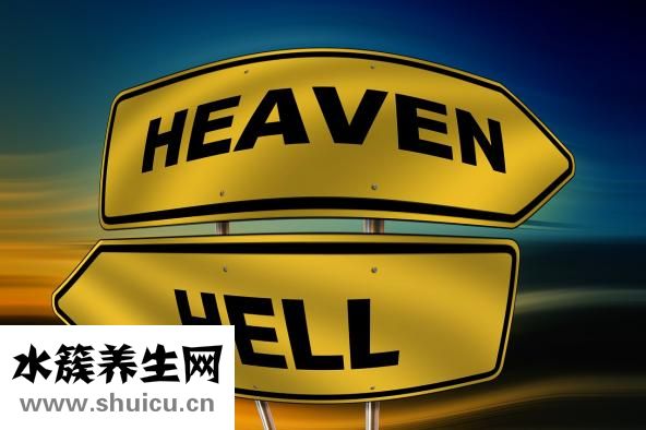南洋人参怎么吃