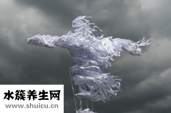 不爱怀孕怎么办