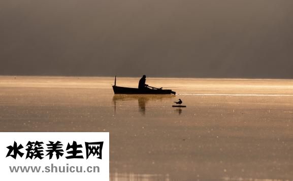 不爱怀孕怎么办