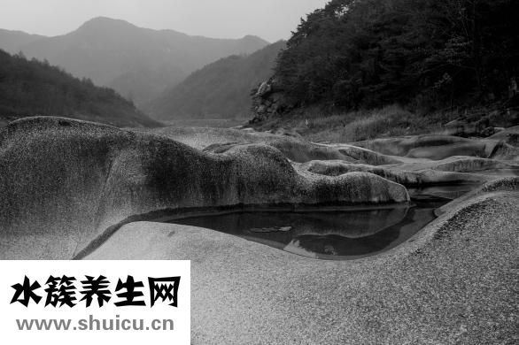 包菜怎么泡