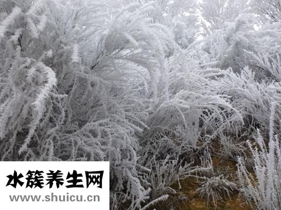 凝胶足套怎么洗