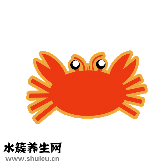 包菜怎么泡