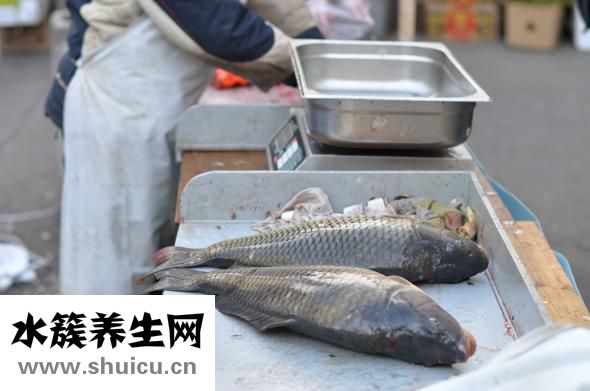 做鱼汤怎么做