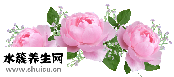 六神花露水怎么打开
