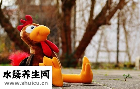 佳茵怎么用