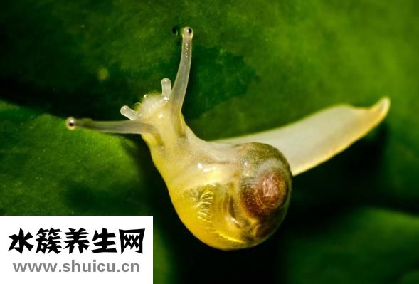 不直怎么形容