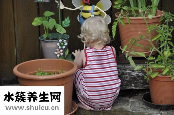 准生证怎么办的