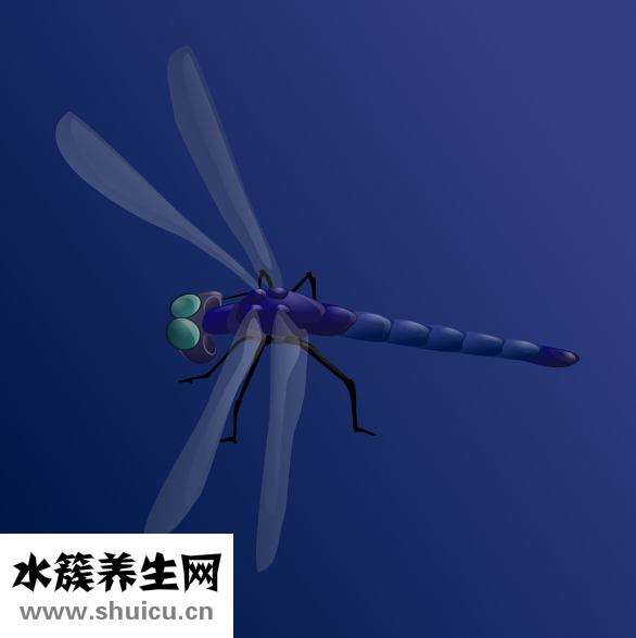蚊子块怎么止痒
