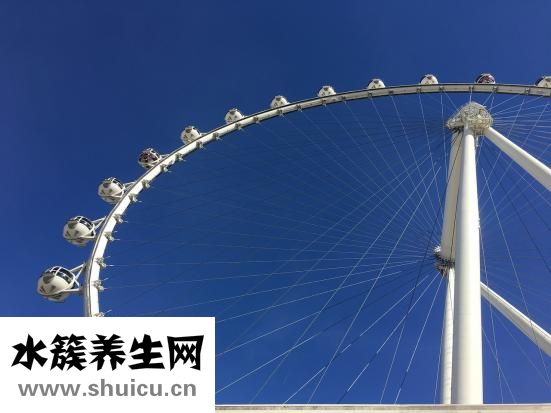 怎么安装义眼片