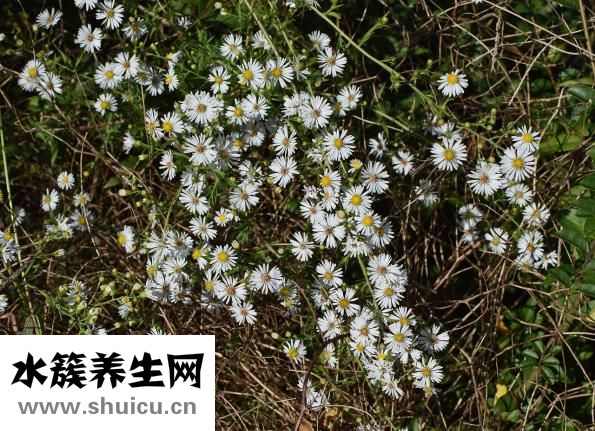 子宫内膜充血怎么办