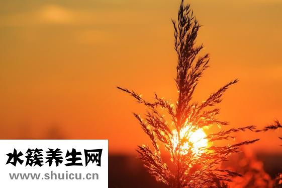 角子眼怎么治
