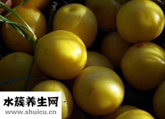三华李怎么腌才好吃