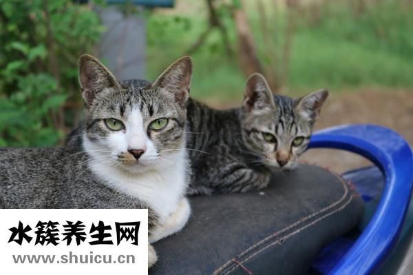 眼镜脚断了怎么办