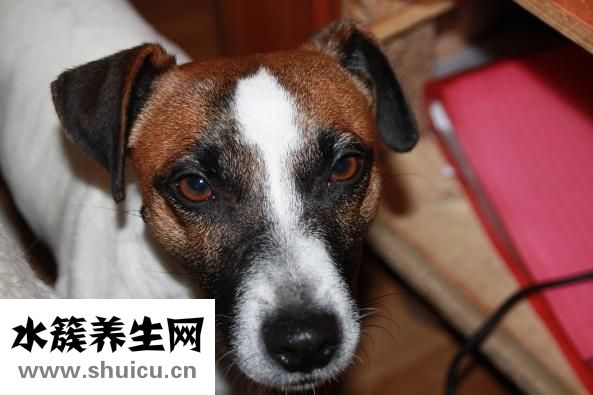 走头无路怎么办