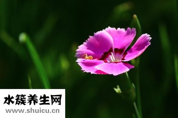 和天蝎男冷战怎么办