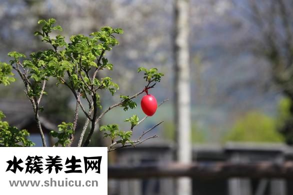 虾和面条怎么做好吃