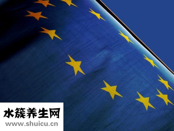 金坤宁怎么用