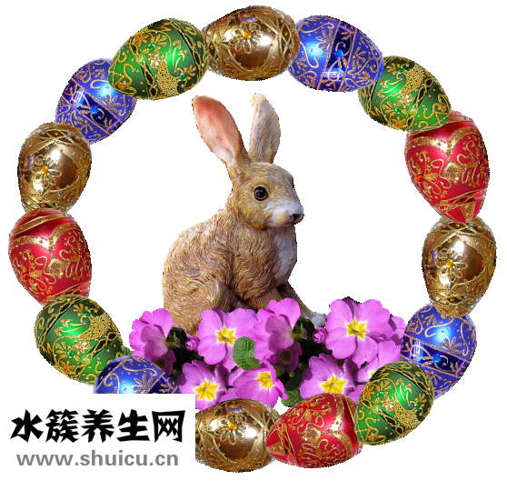 头发油掉发怎么办