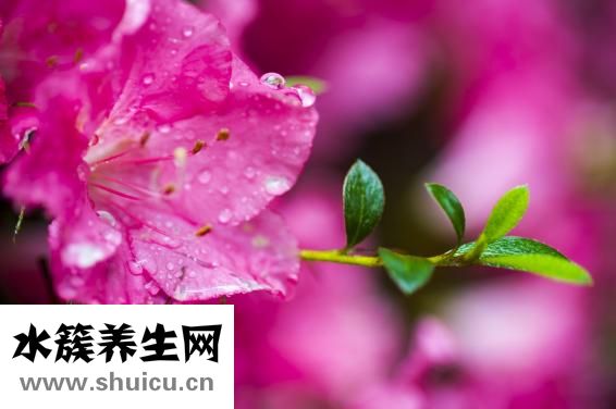 细长茄子怎么做