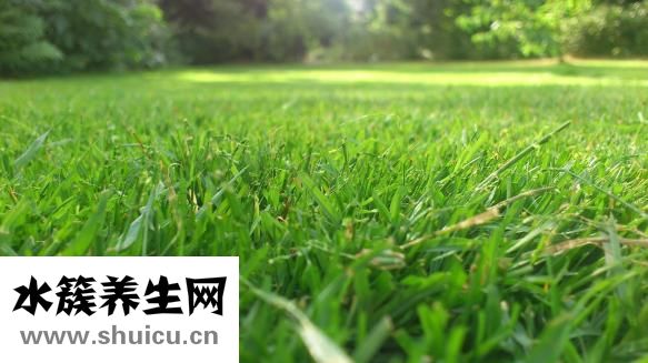 妈妈要找叔叔怎么办