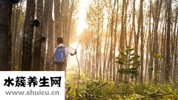 身边小人太多怎么办