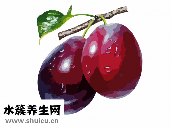三华李怎么腌才好吃