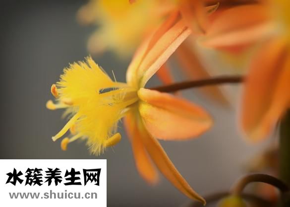 怎么缓解宝宝腹胀