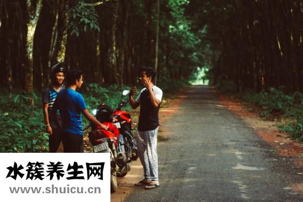 肠鸣音屁多怎么治