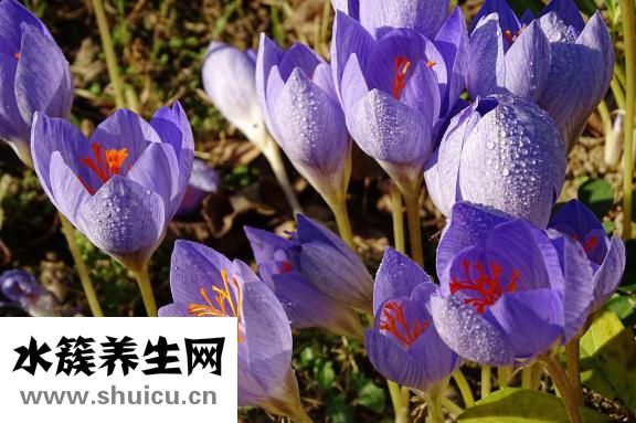 和天蝎男冷战怎么办