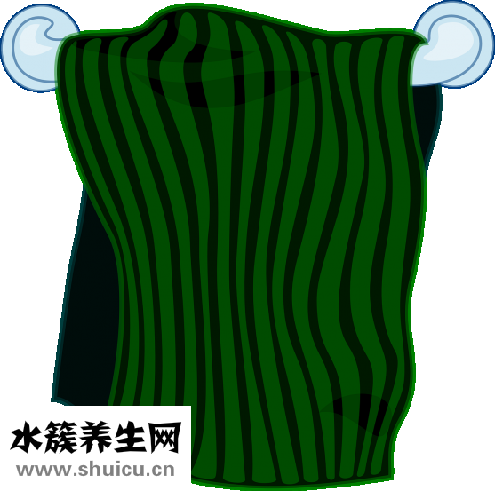 蒸汽烫伤怎么办