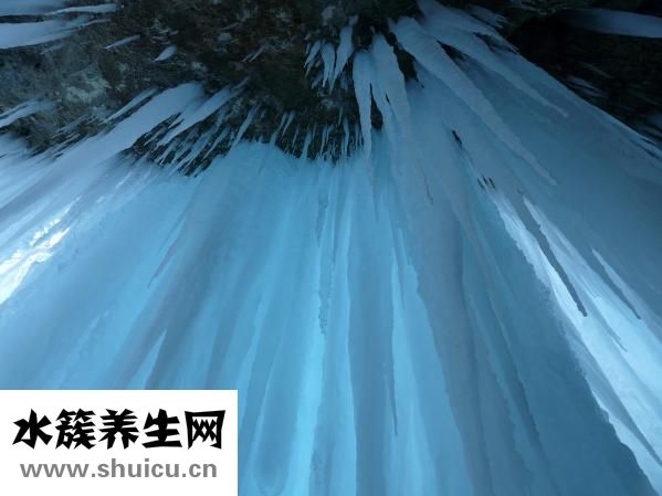 冰冻鸭怎么做