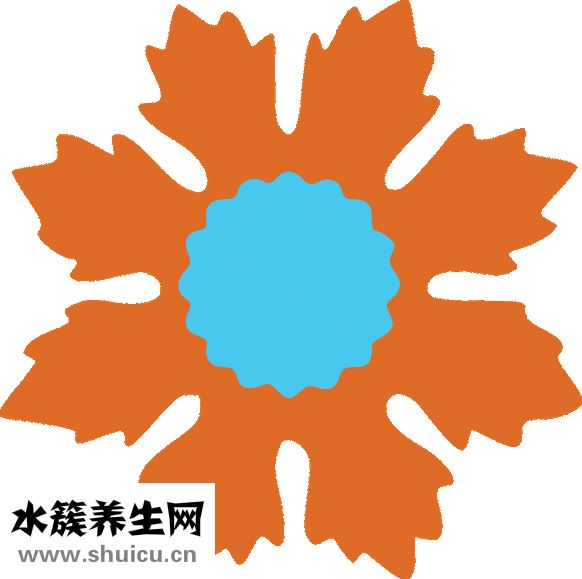 疙瘩面怎么做